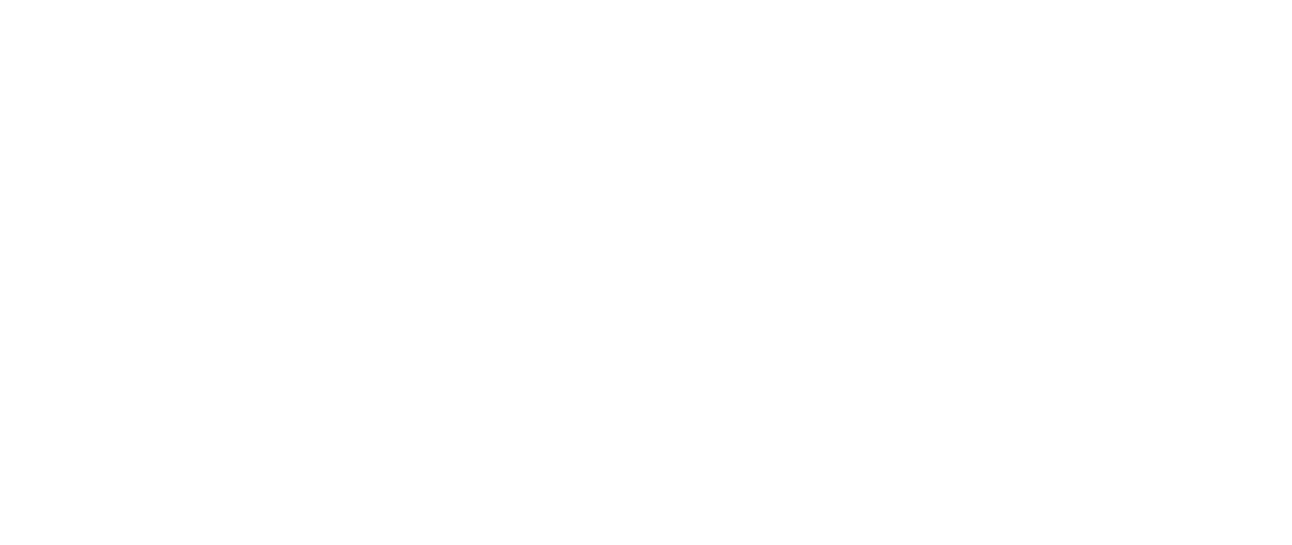 Serengeti Joy Tours